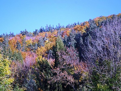 Automne_allenc (13)